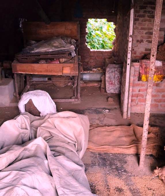 60 quintals of wheat stolen by masking up in the warehouse of a grain trader