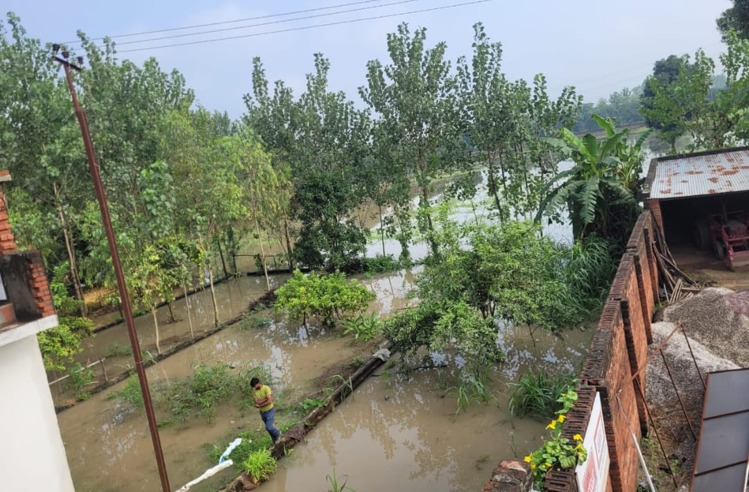 After the rain, there was water at many places and electricity supply remained disrupted.