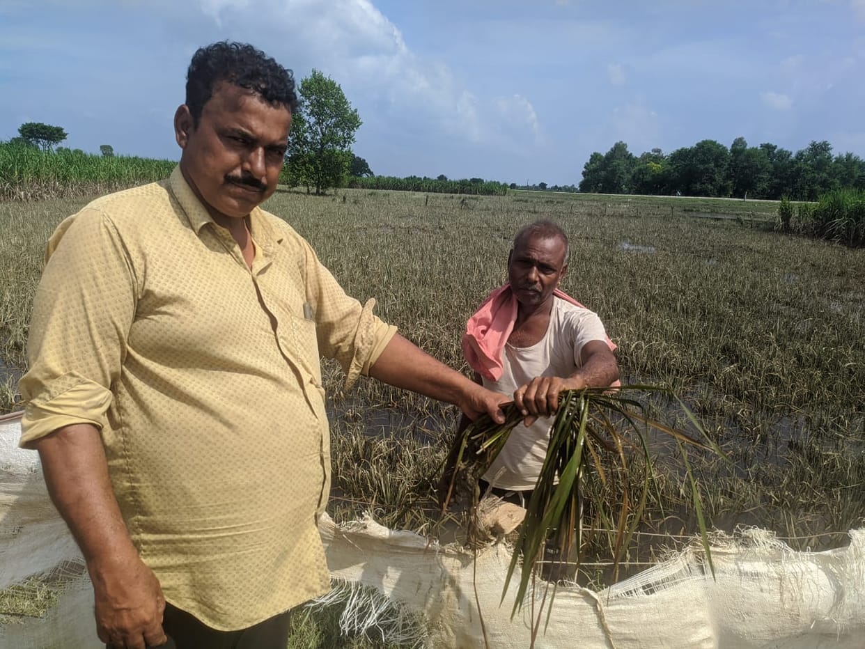 Terror of flood: no place to eat, no place to stay