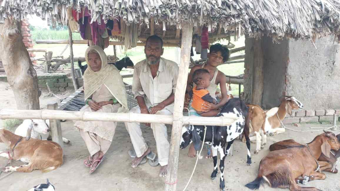 People of four villages are in fear of wild animals, forest department's steps stopped