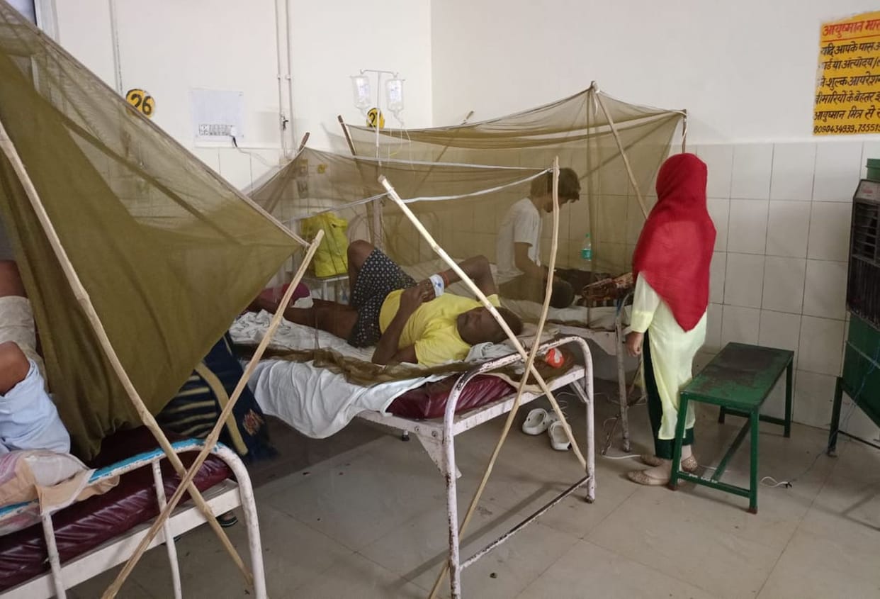 Six people including CO City infected with dengue