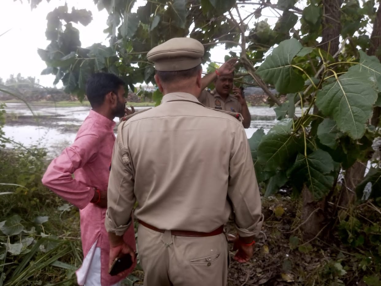 Remains of protected animals found, report filed