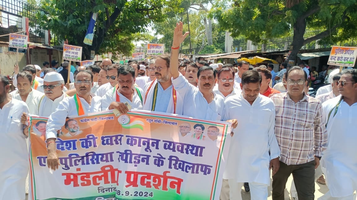 Congressmen took to the streets against the government
