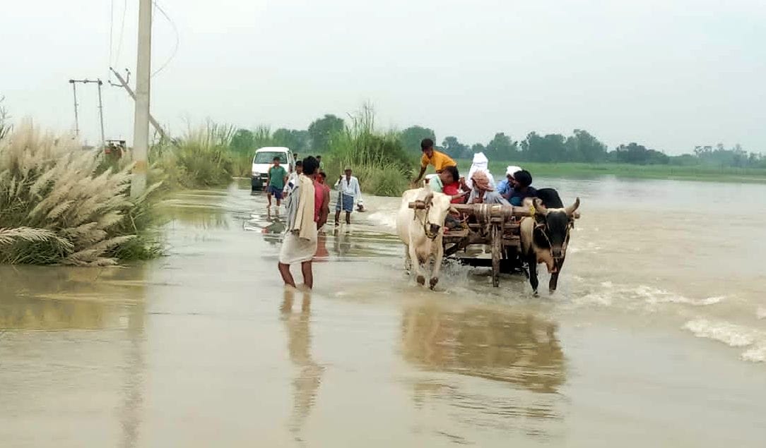 Village surrounded by flood...Villagers face crisis of food and fodder