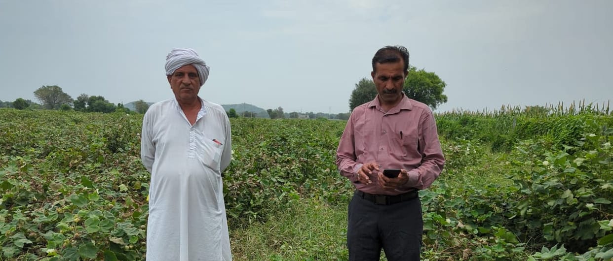 rain disturbed crops