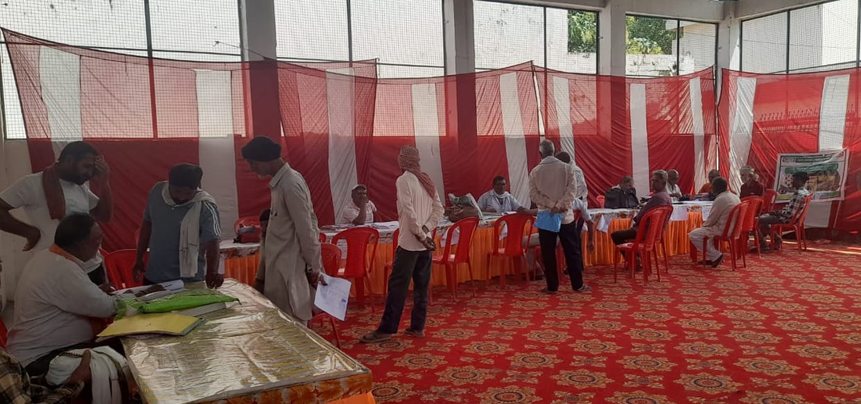 Chaos dominated the betting display fair