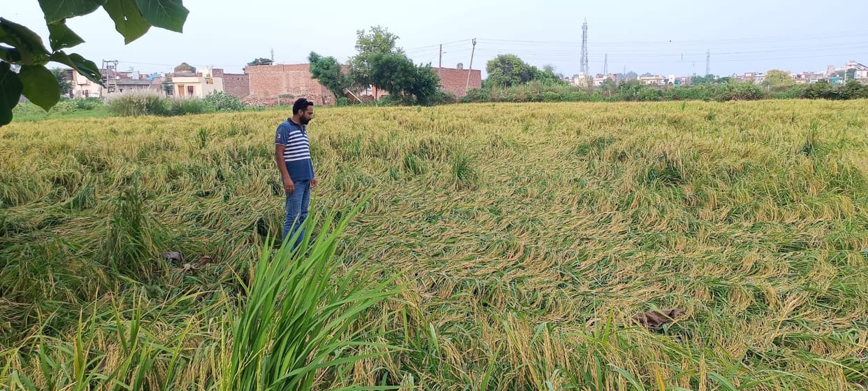 Due to drizzle in the district, mercury dropped by three degrees, weather will change again from today