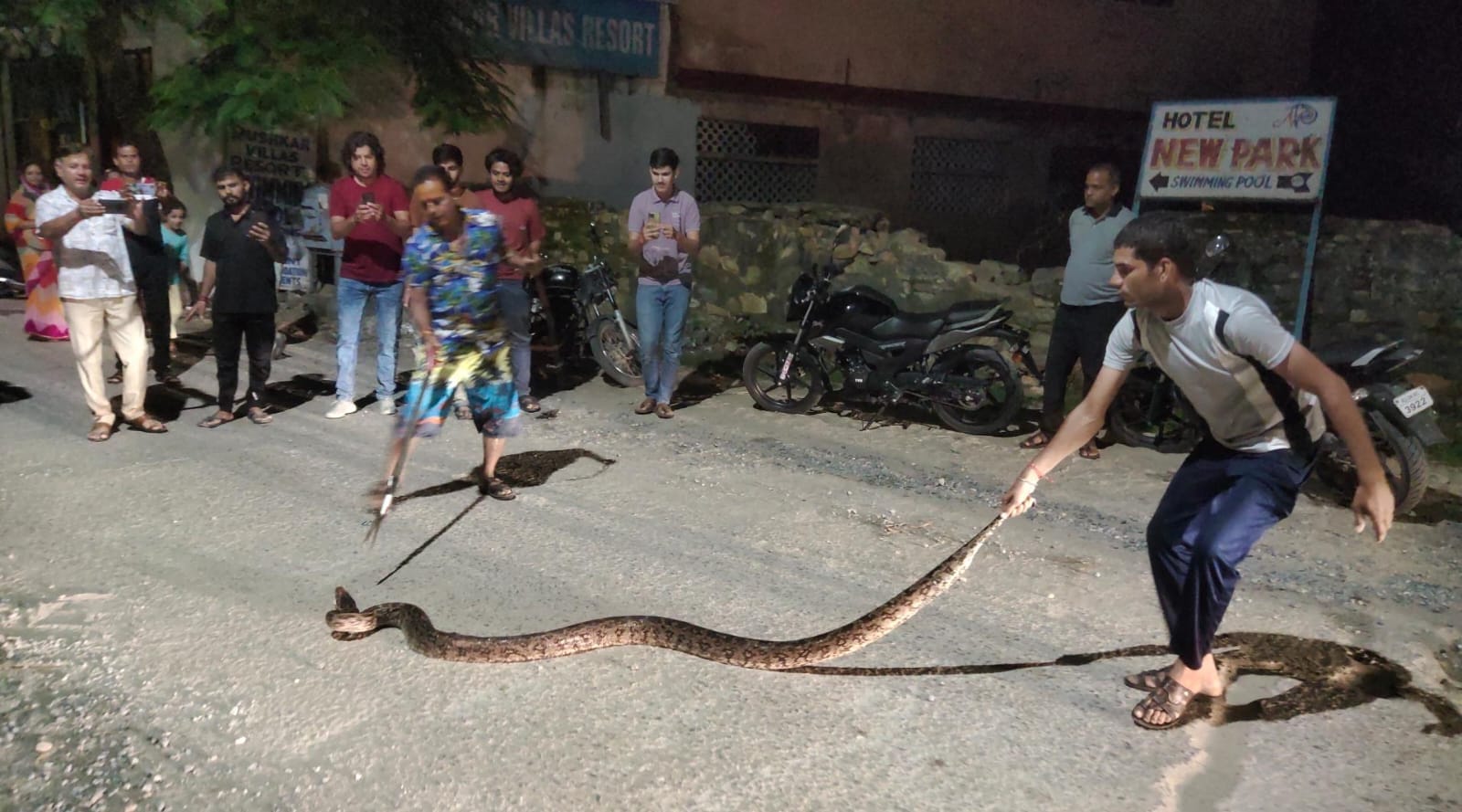 बारह फ़ीट लंबे अजगर को सड़क पर घूमता देखकर सहमे लोग