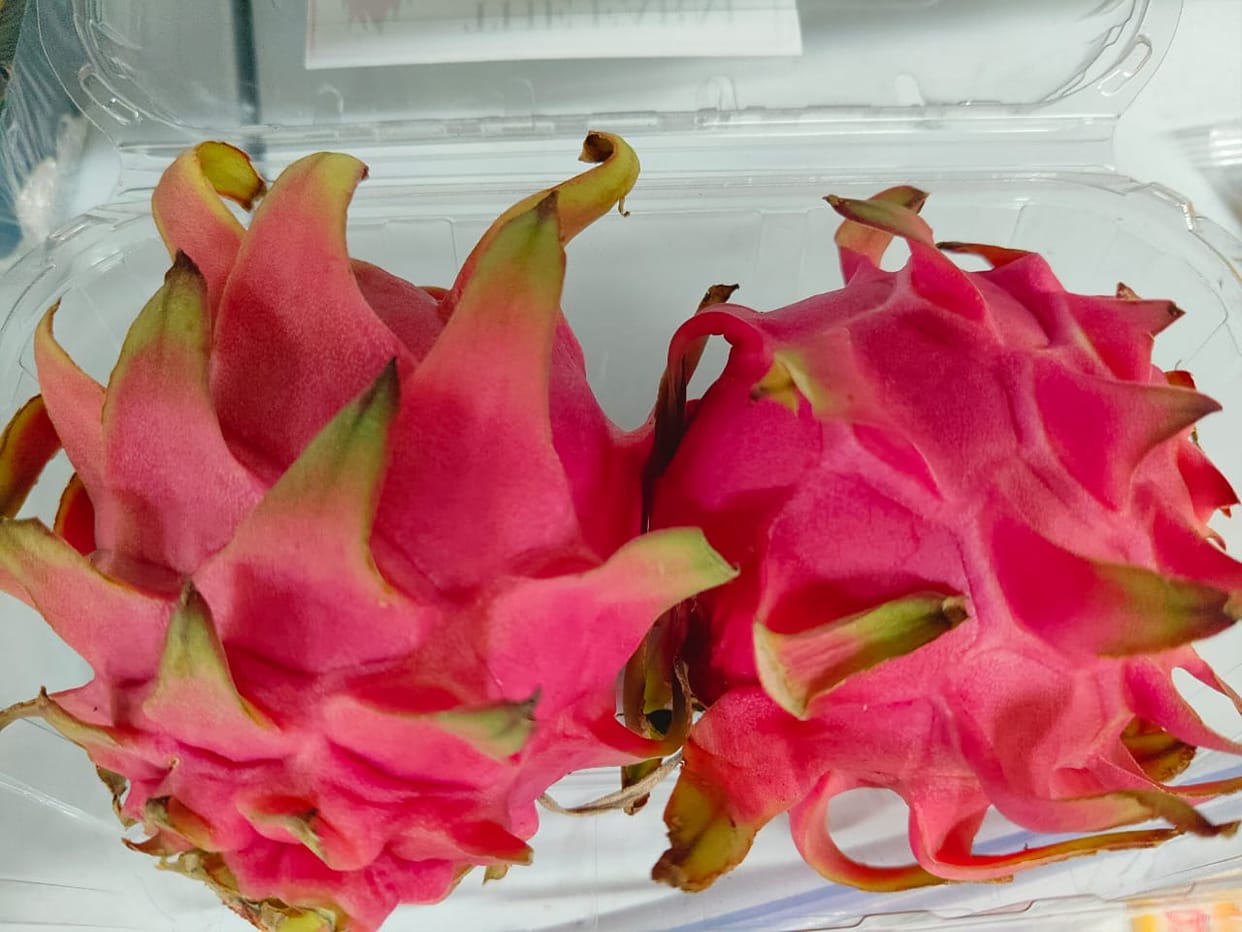 Champawat's gardens will bloom with Pitaya