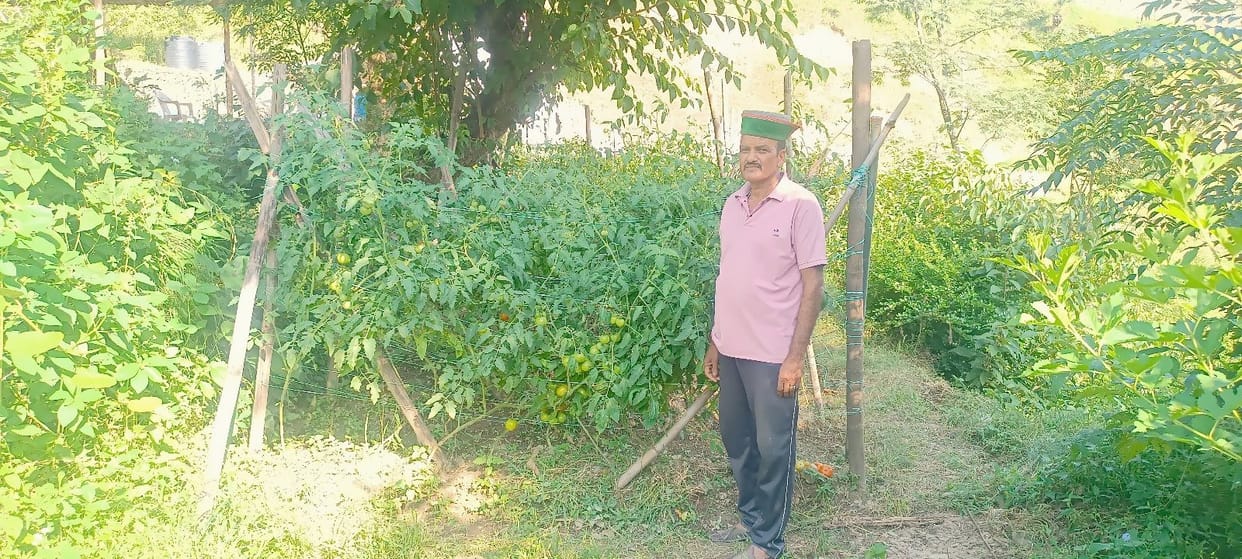 Earned four lakhs from farming in one year, now pension tension is over