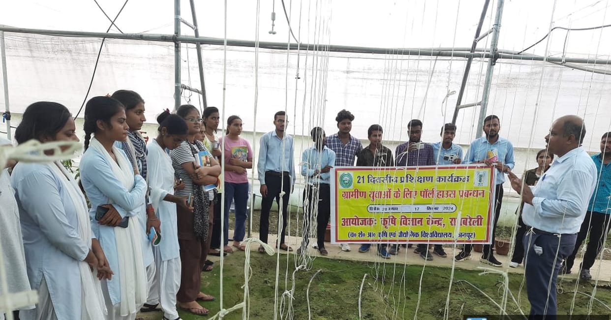 Production can be increased by farming in polyhouse