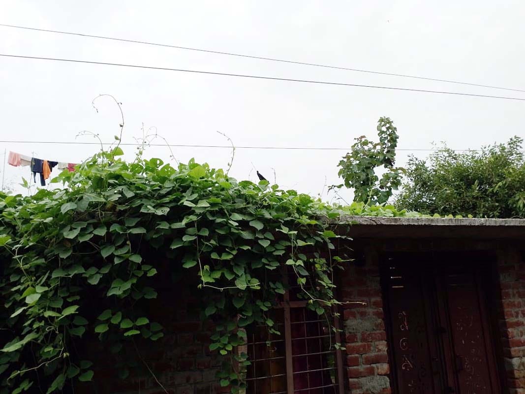 High tension line hanging above the roofs in Bhaurkheda Jiganiya
