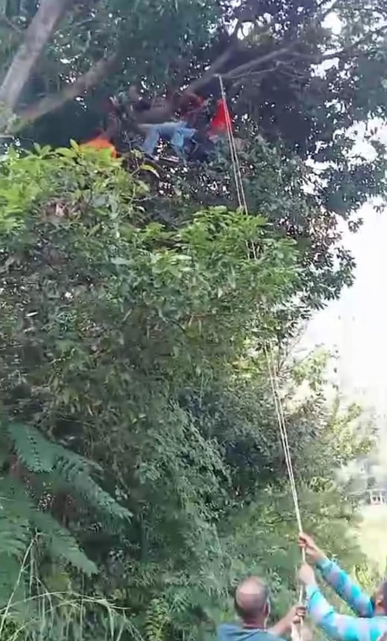 Paraglider stuck in tree in Dramman Panchayat due to change in wind direction, two youths rescued