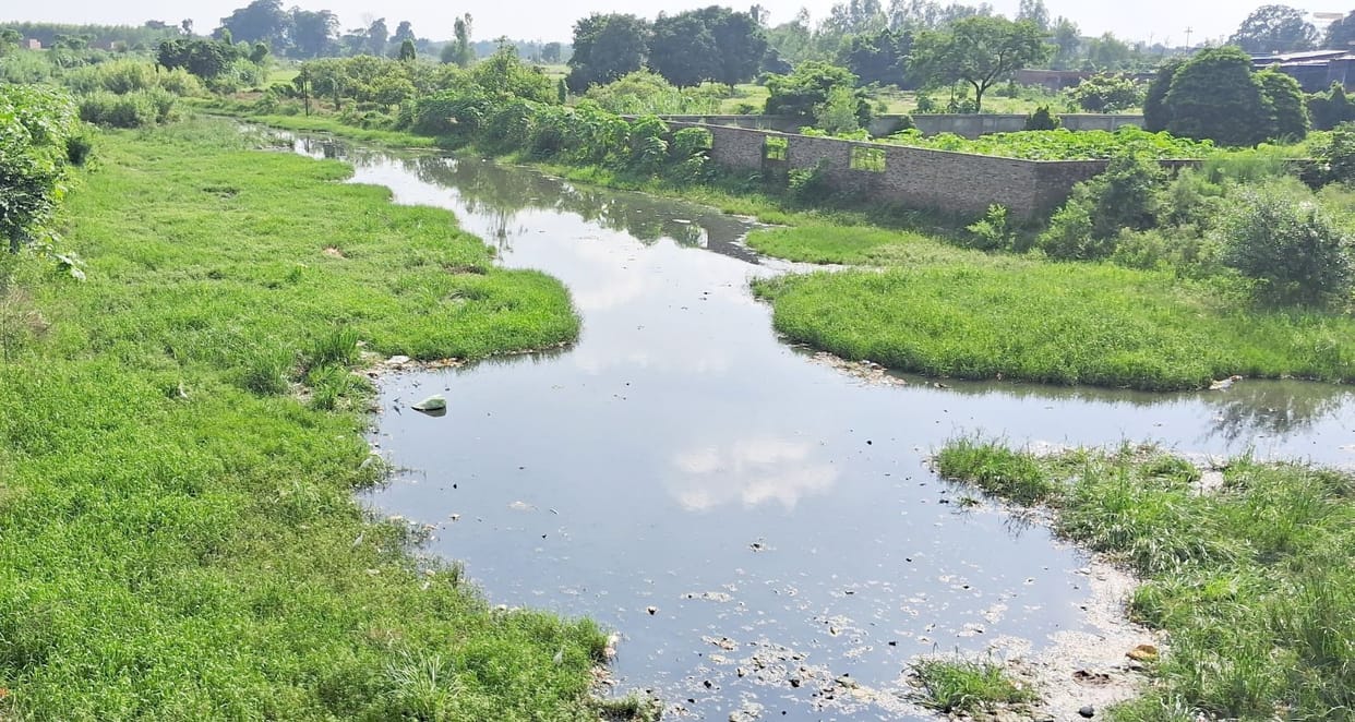 The existence of four of the six rivers of the district is in danger