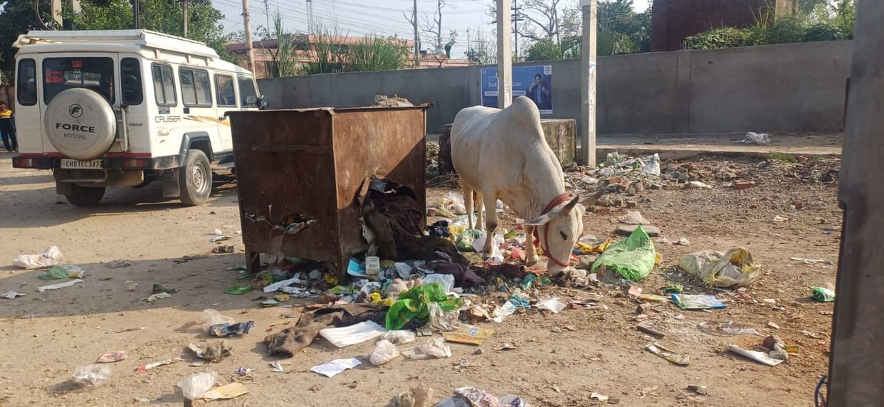 Dirt on the ground, clean in claims