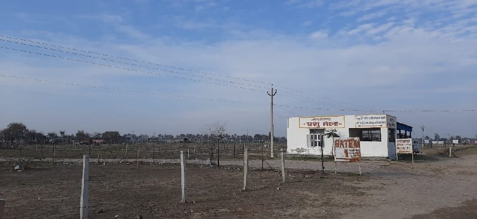 The cattle fair which was closed for one and a half months was not started by the administration for one and a half years.