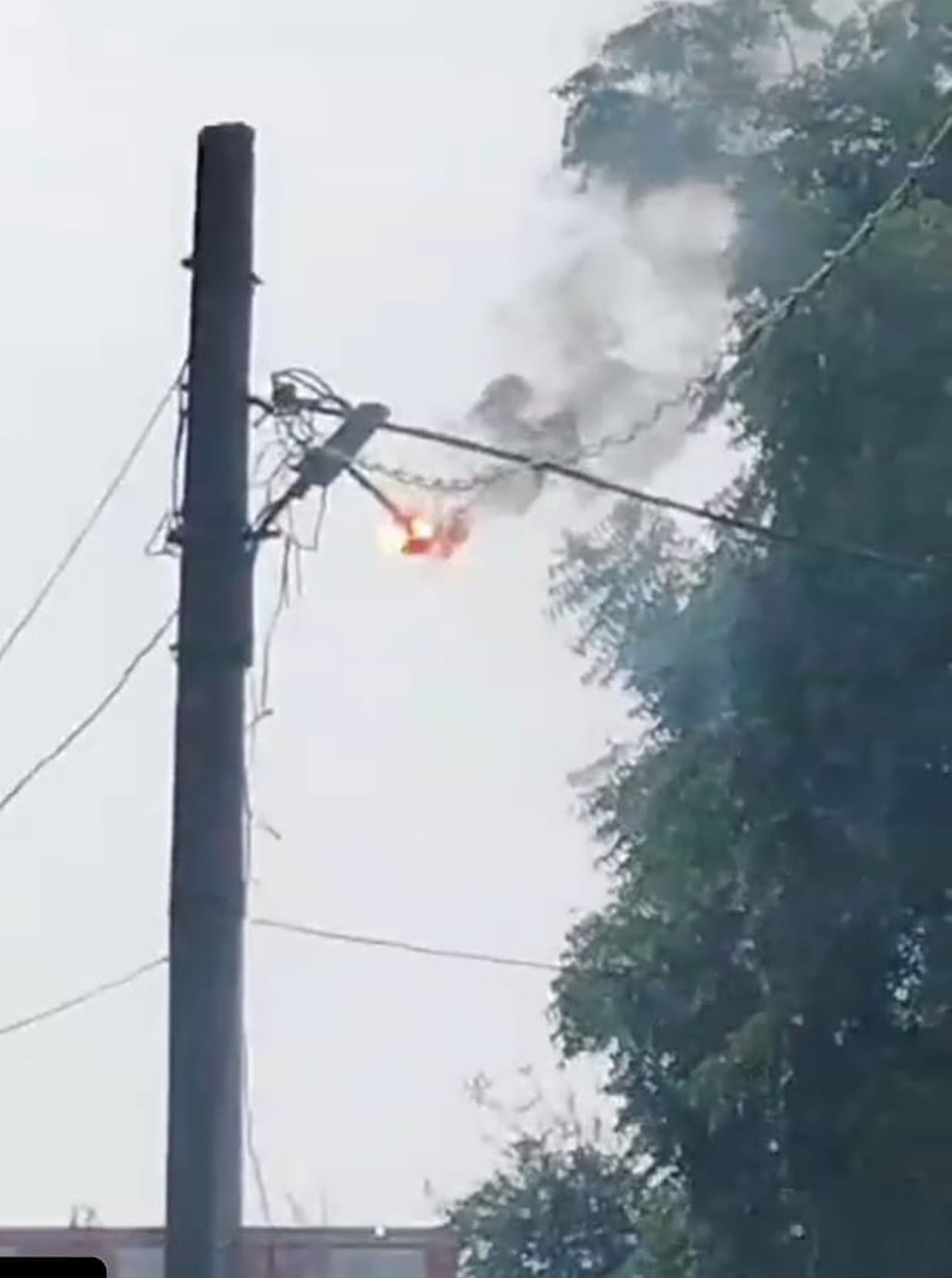 Suddenly sparking on electric pole, video goes viral