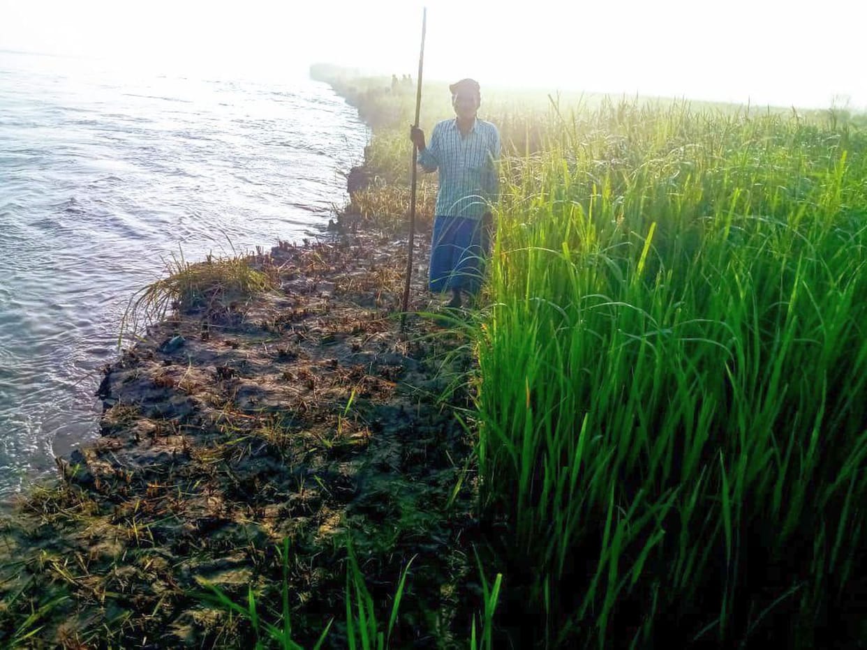Paddy and sugarcane crops of seven farmers submerged in Saryu