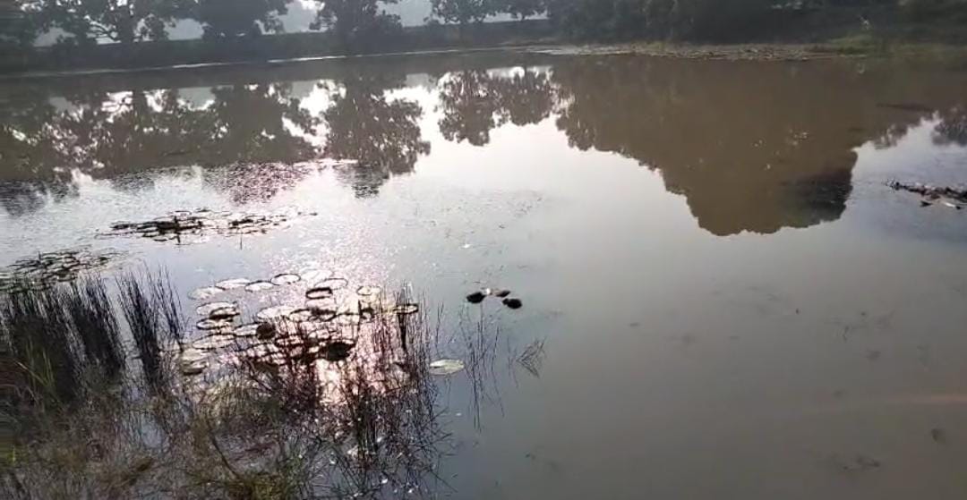 Shahdol: The body of an old man missing for two days was found in the village pond