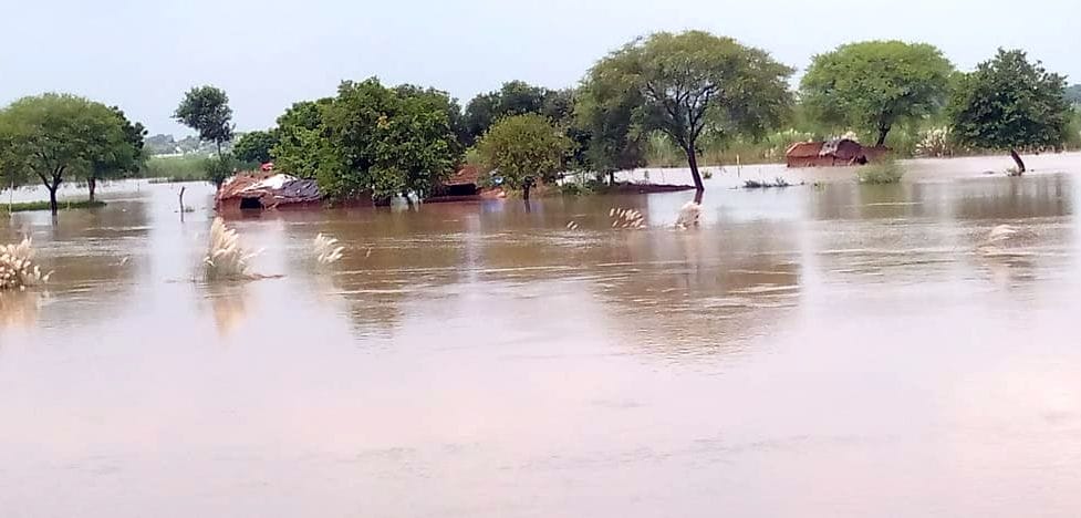 Flood devastates Ganga valley, 850 bighas of crops destroyed in four villages