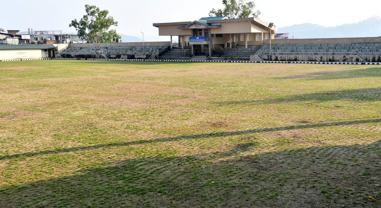The school's playground began to flourish with Korean grass