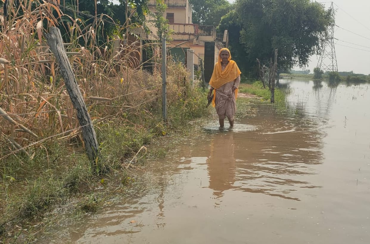 problem in bid bharavi