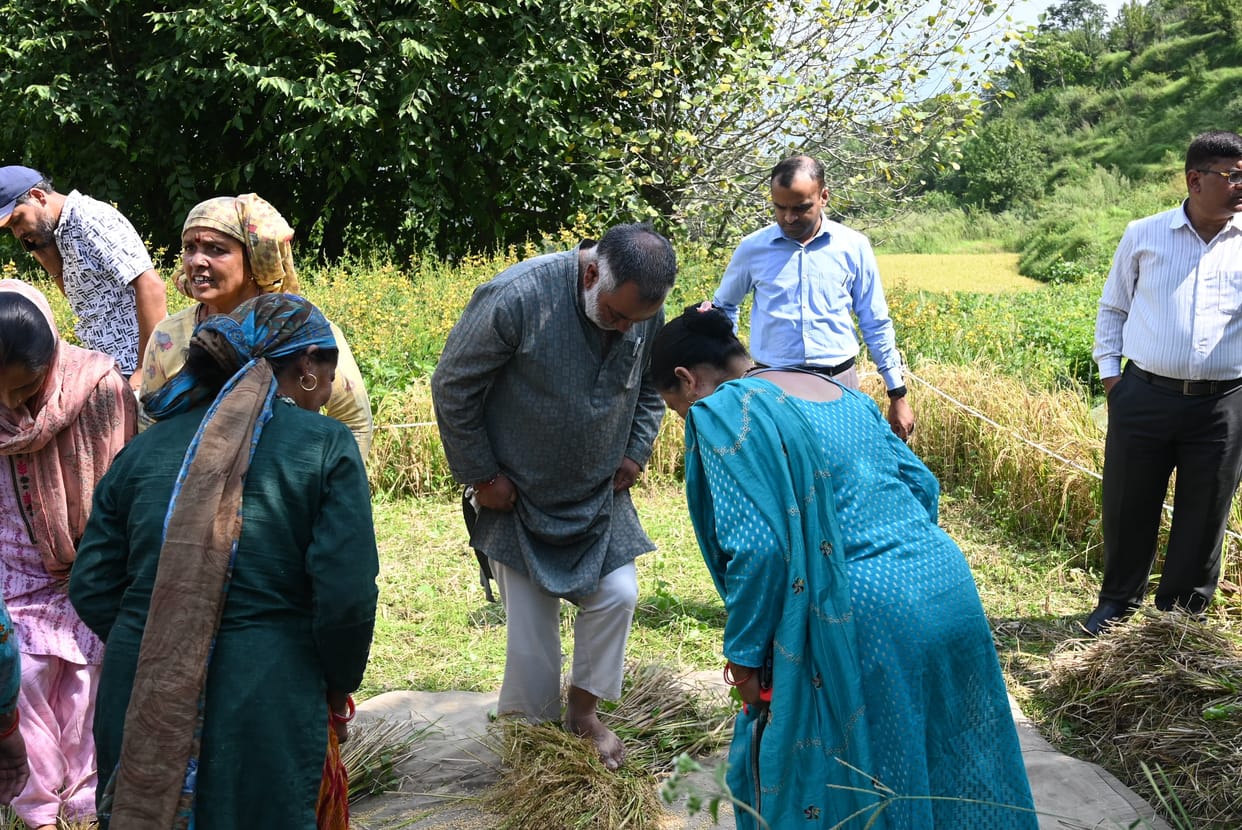 DM arrived to collect data on average crop yield