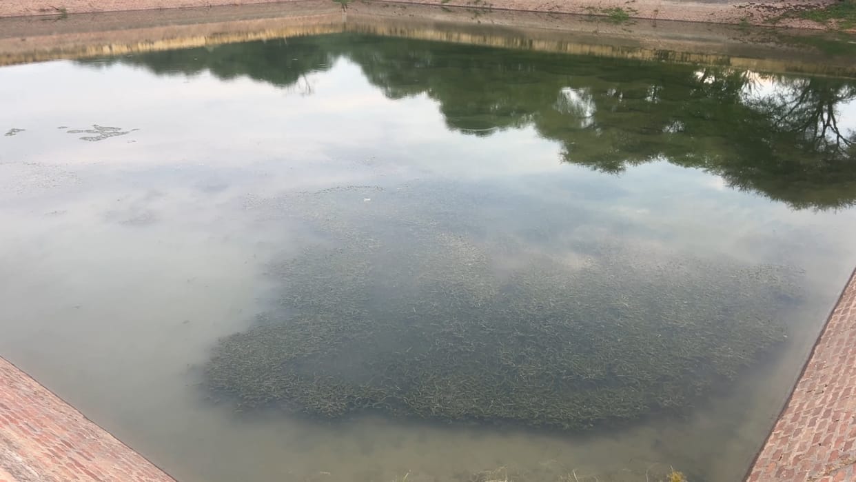 Contaminated water is being supplied in Kalanwali