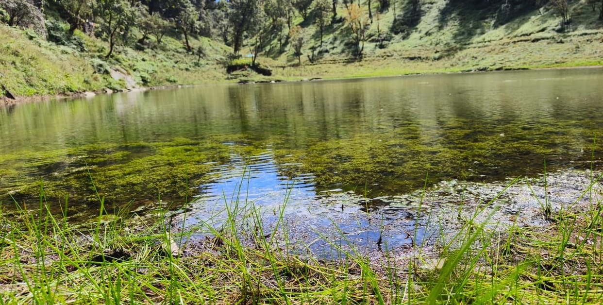 Ducks keep Harkot's Thamri pond clean