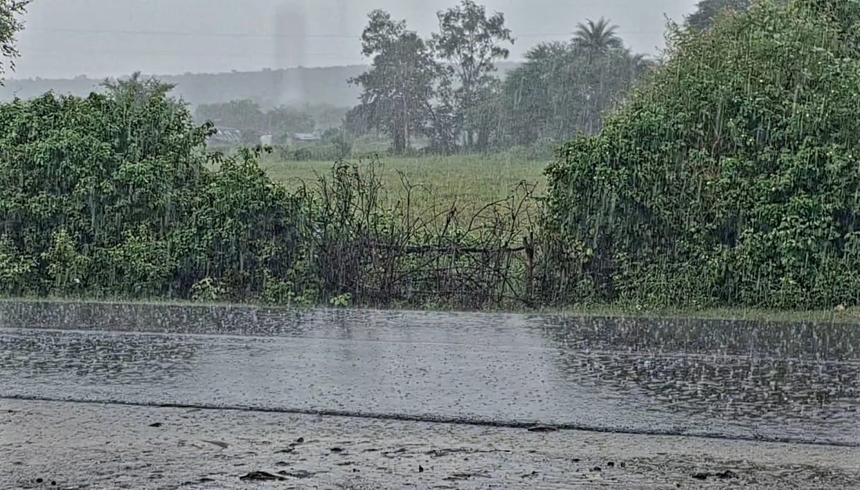 Sagar News One woman died due to lightning, another got seriously burnt