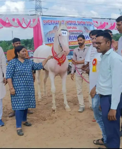 Hawa Singh's horse Khalifa I in horse show