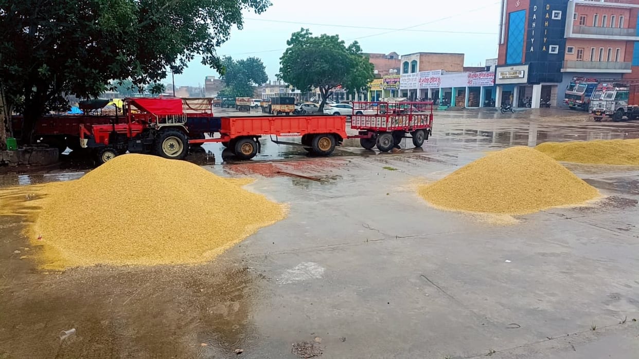 Vehicles parked under the shed, grains getting wet in the open