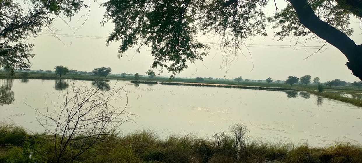 chunavi chaupal in misari