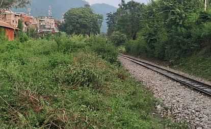 Kotdwar News Elephant dies after being hit by an express train going to anand vihar