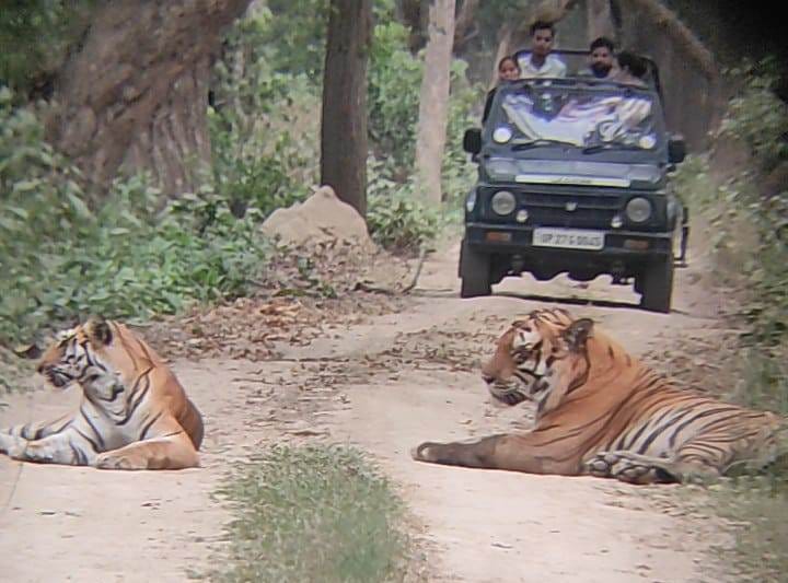 Dudhwa National Park attracts tourists