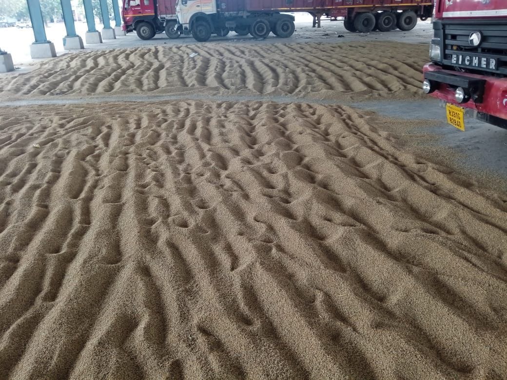 To sell paddy, farmers will have to bring gate pass from home, due to high moisture it was not sold on the first day.