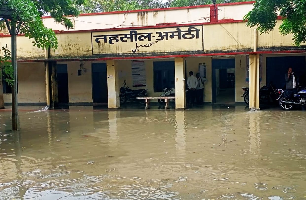 Crops withering due to rain got lifeline