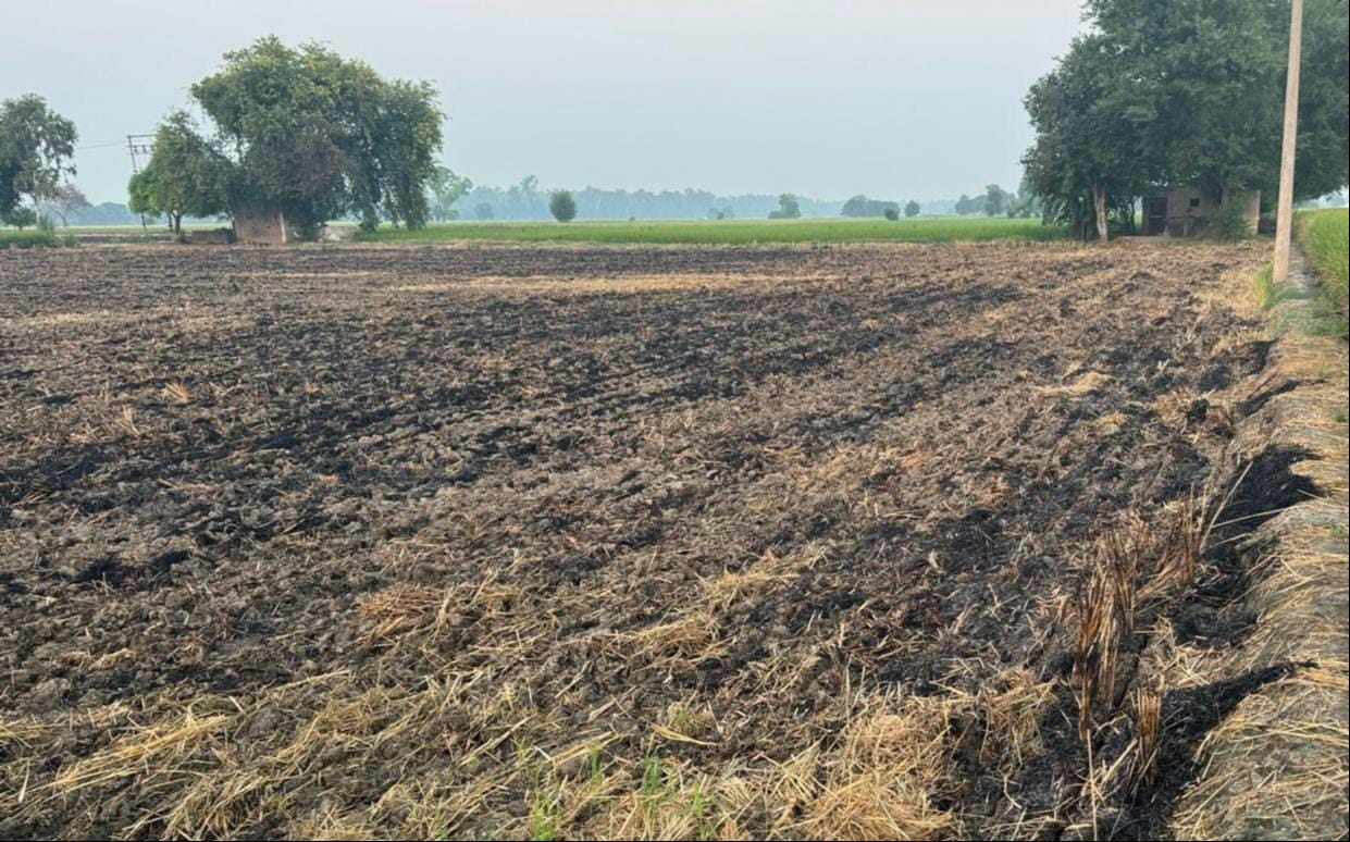 Stubble started burning as soon as paddy harvesting started, three cases have been reported so far