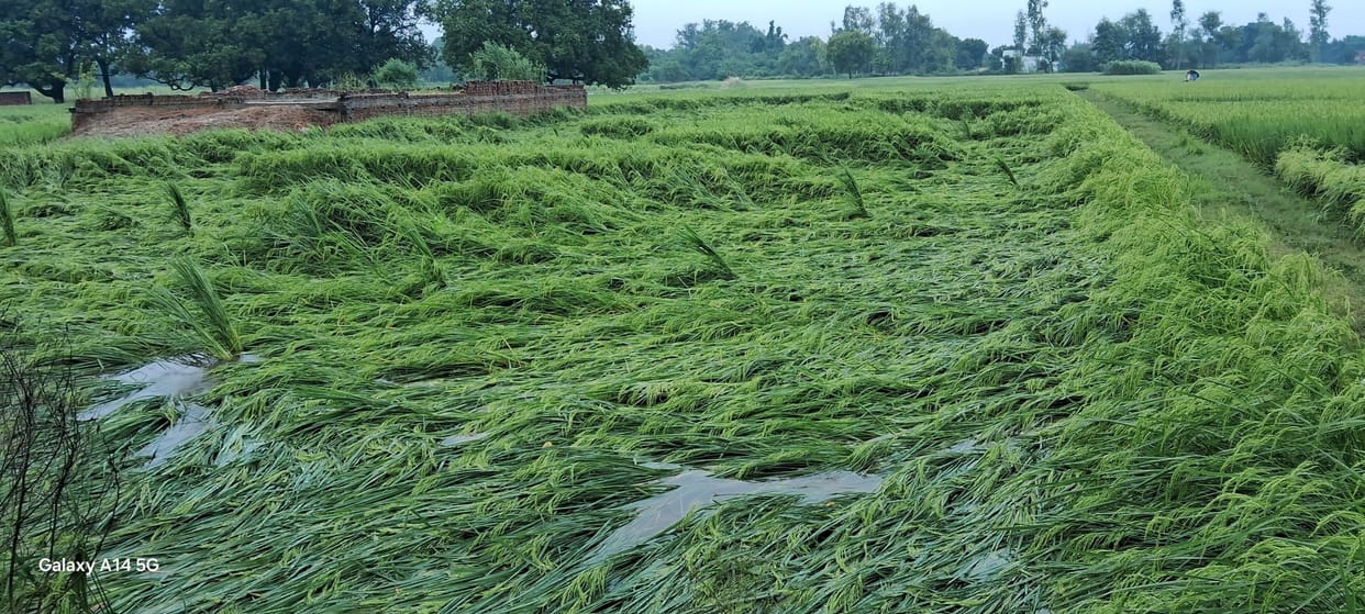 problem due to continuous rain