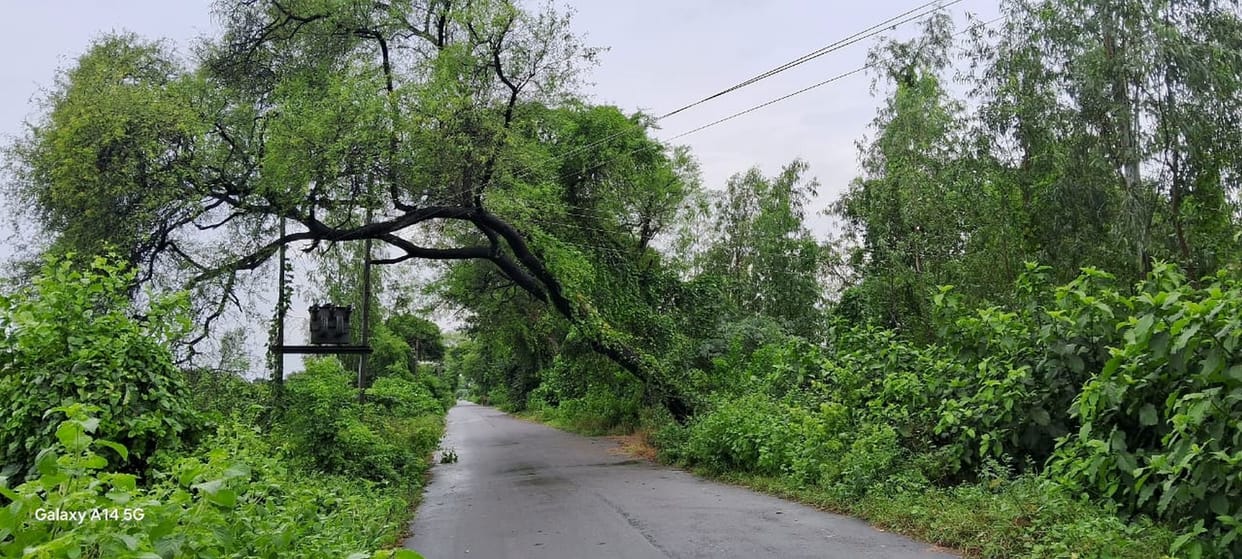Somewhere there is no electricity even after 36 and somewhere after 48 hours