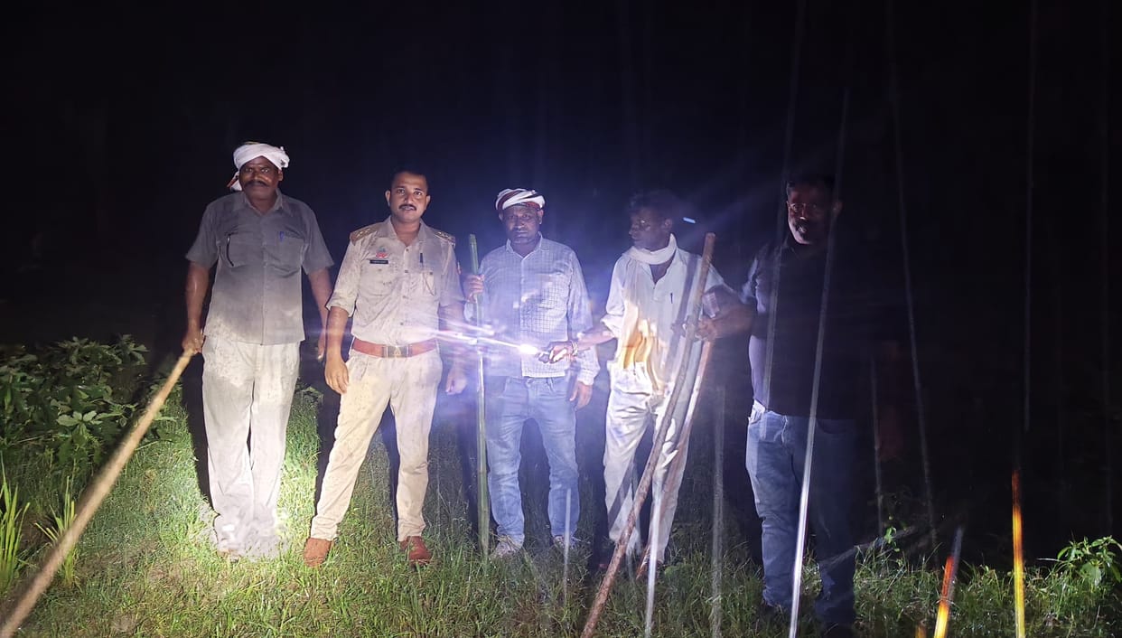Wild animal not seen for 36 hours, fear remains among villagers