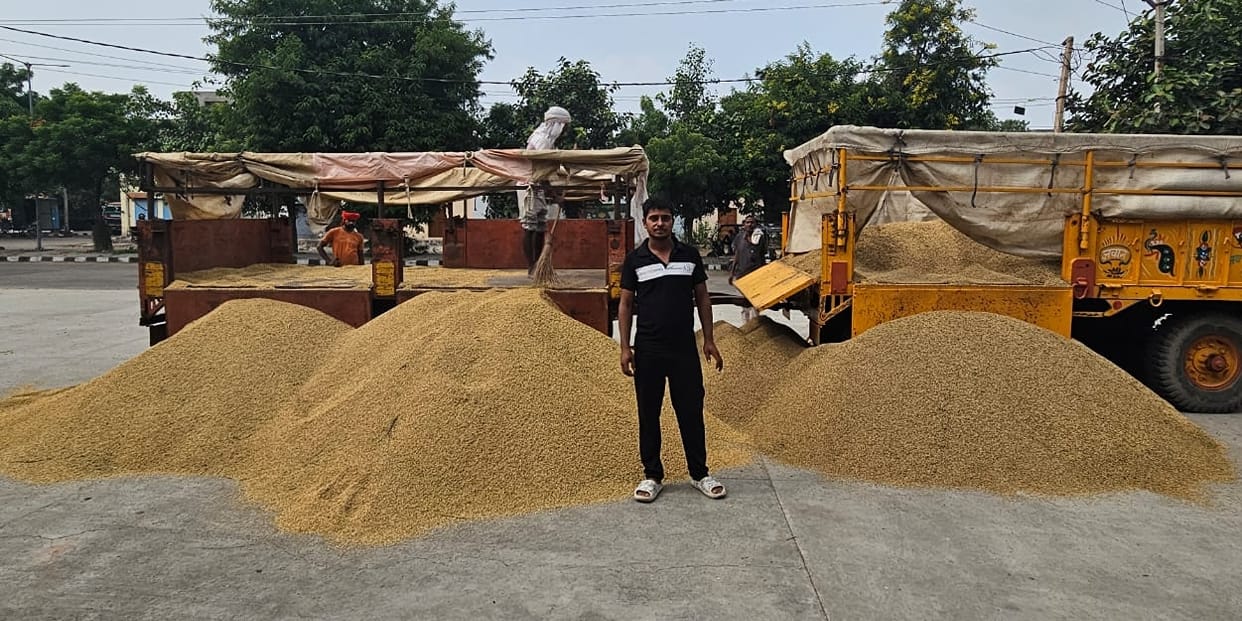 25 quintals of paddy and 8 quintals of millet will be purchased per acre