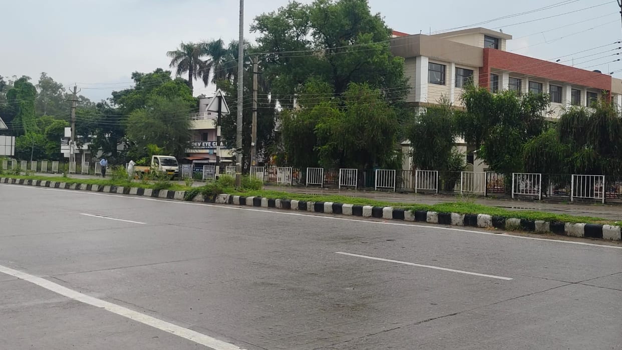 Tree guards are disappearing from dividers on the highway
