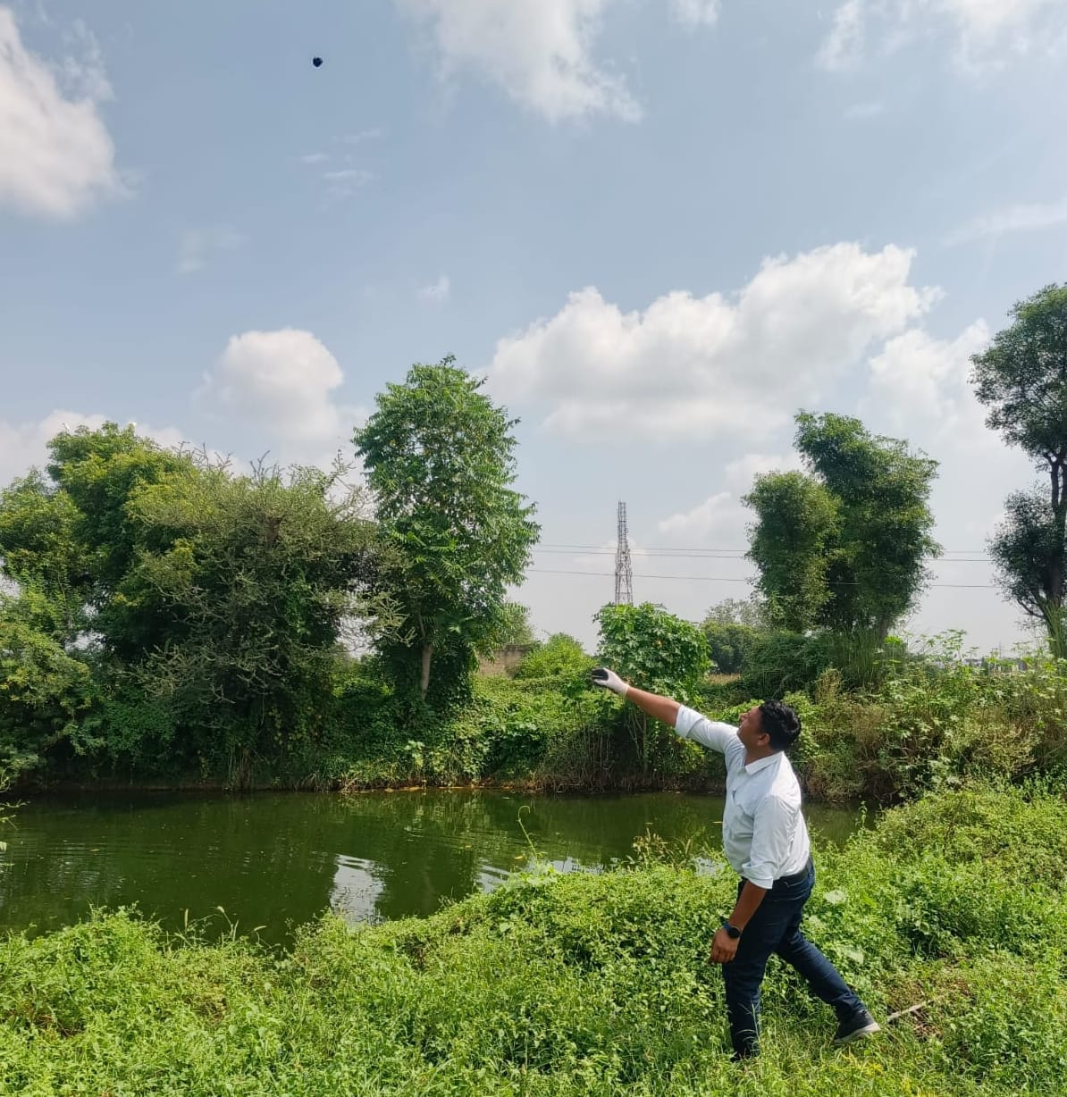 Samples for 54 people, six new dengue positive found.