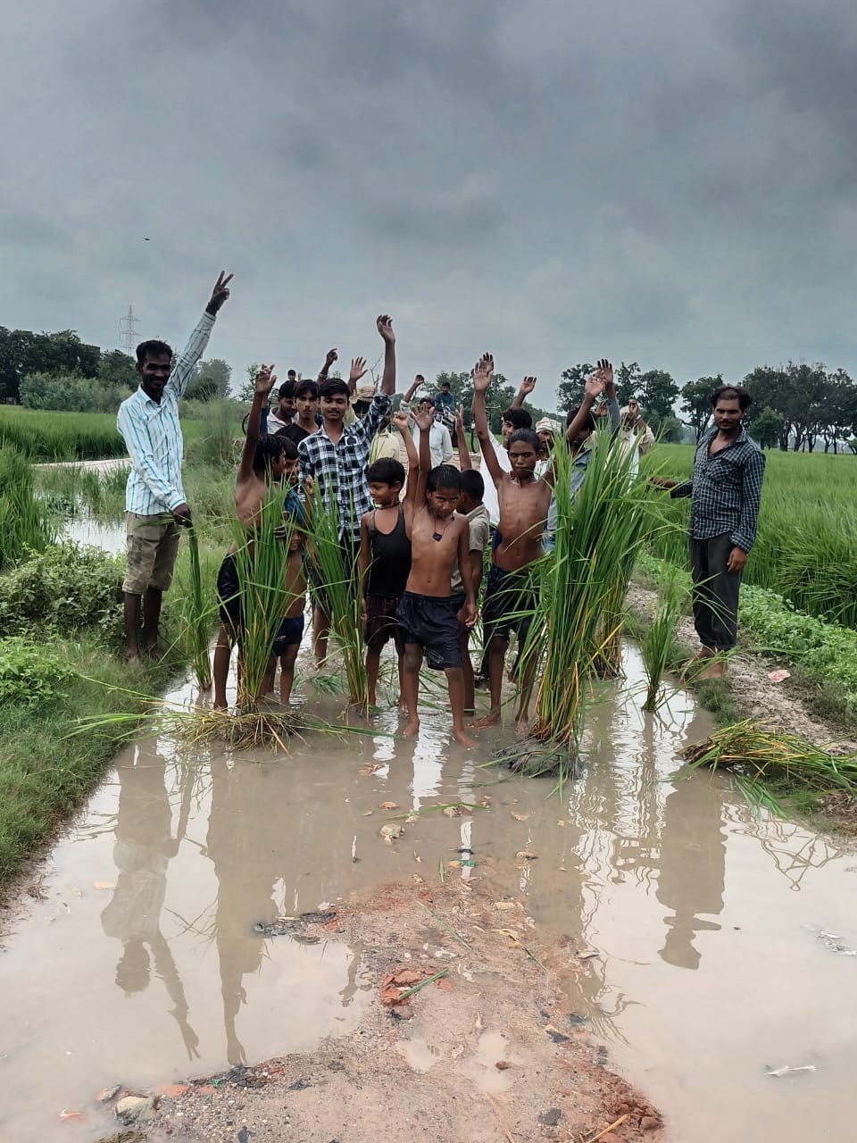 Sowing of paddy on bad road, demonstrated