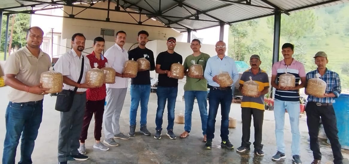 Mushroom production will be helpful in stopping migration