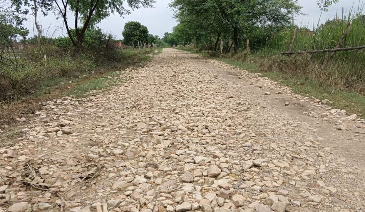Be careful while walking on the roads of Terai...