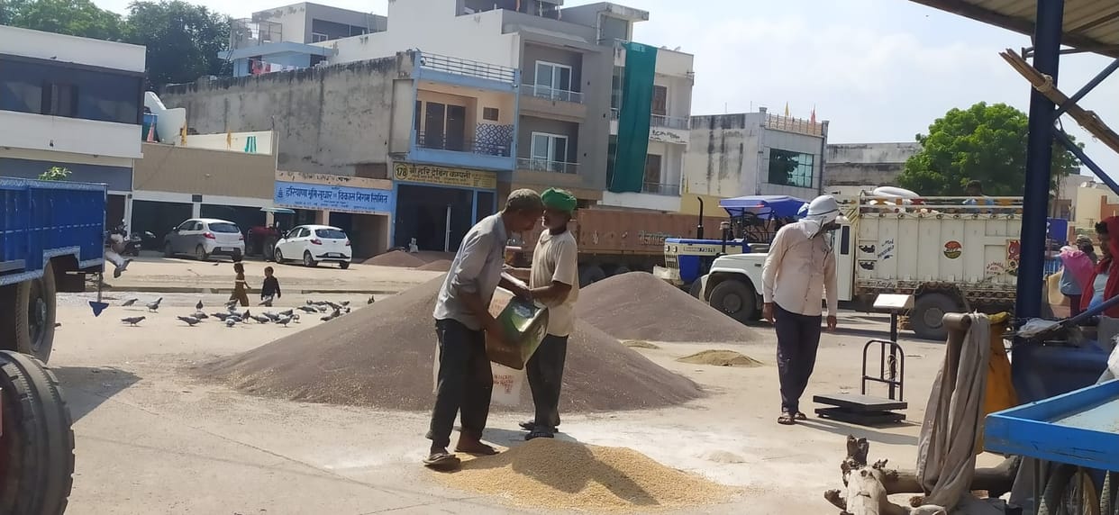 Farmers forced to sell millet at loss