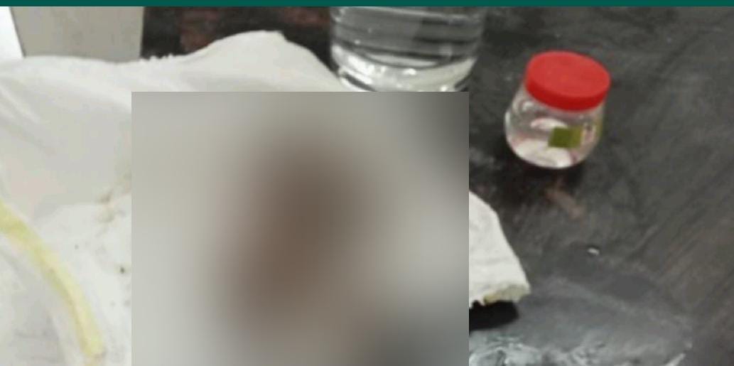 Newborn baby girl found in garbage heap, police admitted her to Hallet, police is investigating CCTV