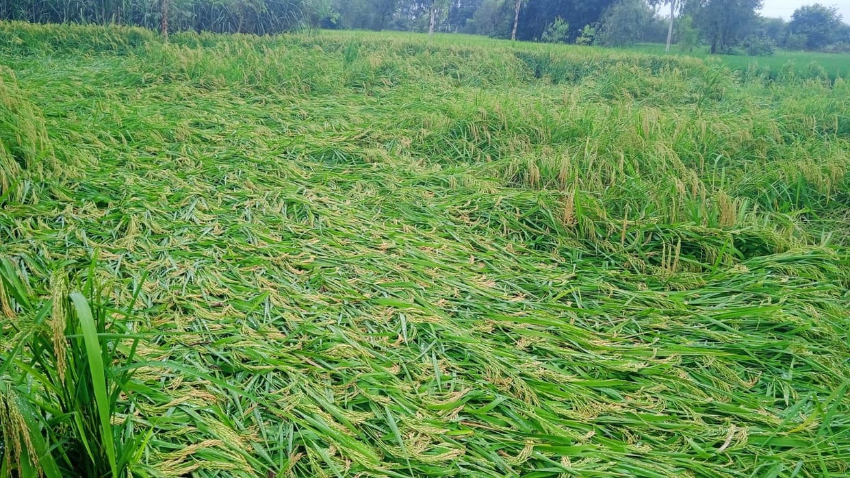 More than one lakh farmers of this district of UP will get insurance claim